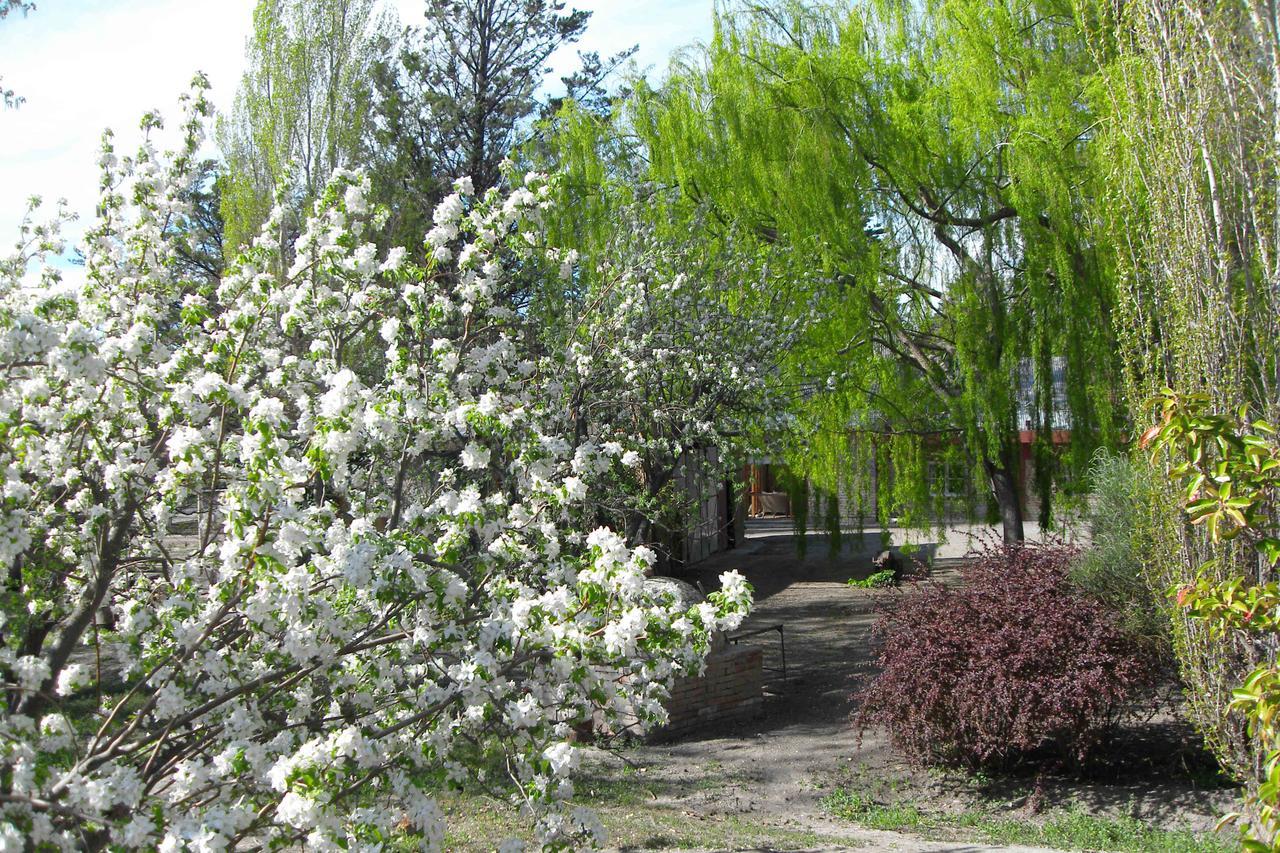 La Casona Del Rio Guest house